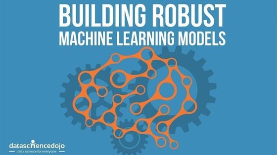 Building Robust Machine Learning Models.jpeg